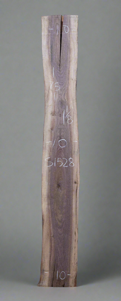 Black Walnut - S1528