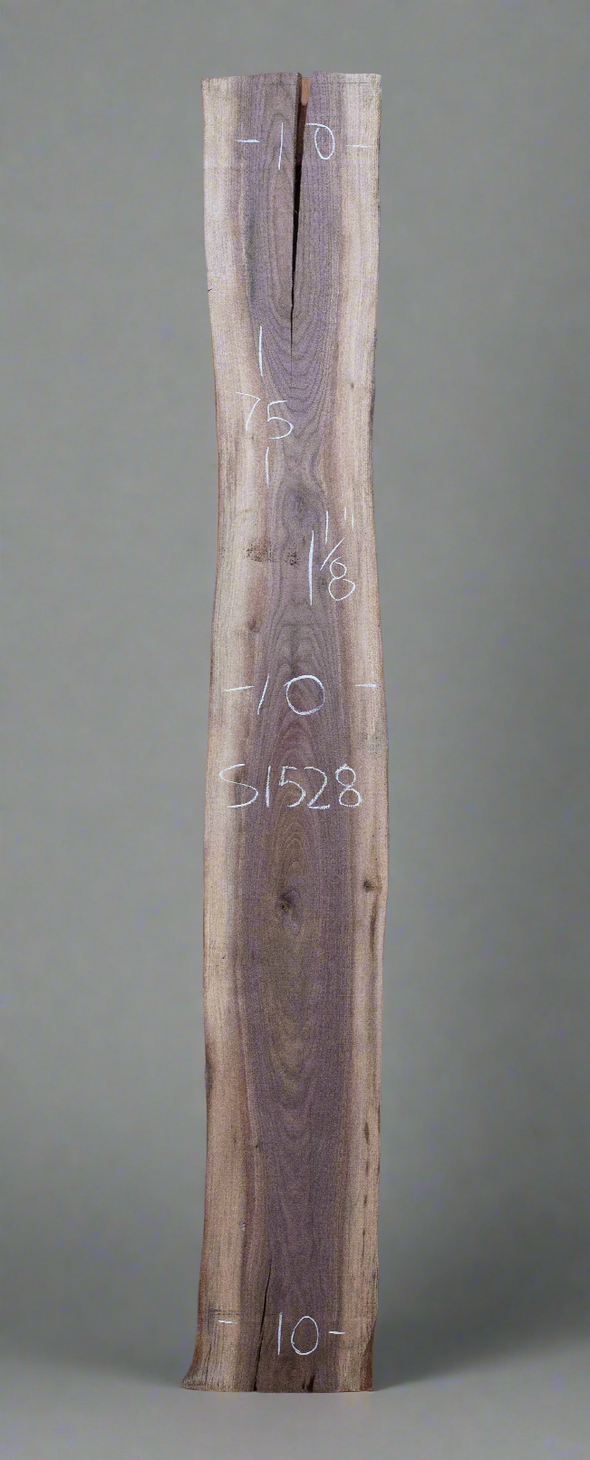 Black Walnut - S1528