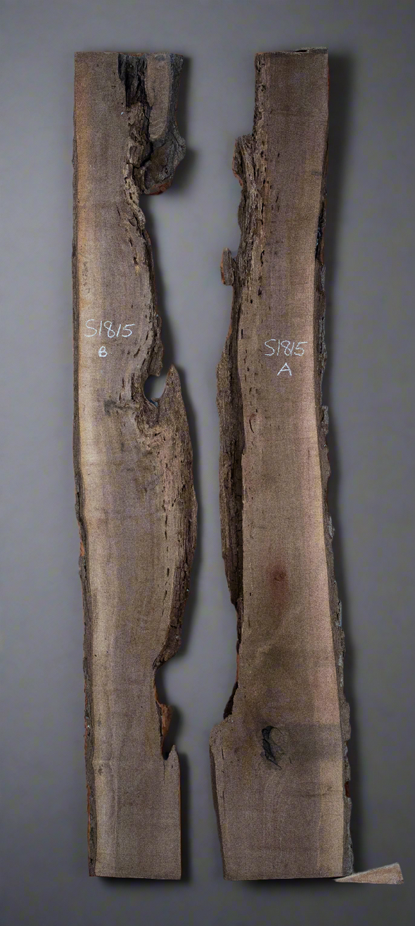Black Walnut Live Edge Slab - S1815