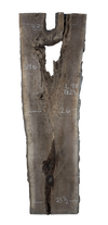 Black Walnut - S1816