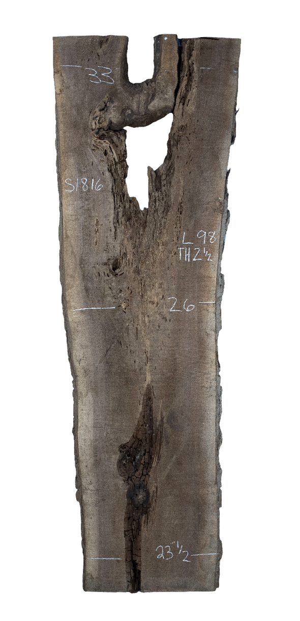 Black Walnut - S1816
