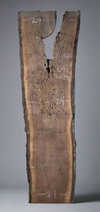 Black Walnut Live Edge Slab - S1820