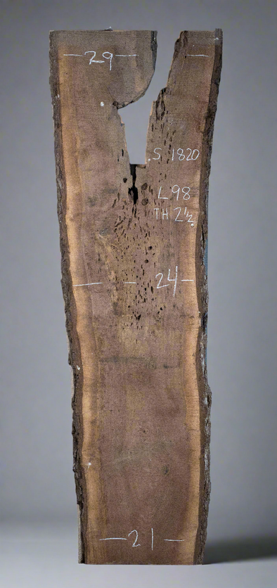 Black Walnut - S1820