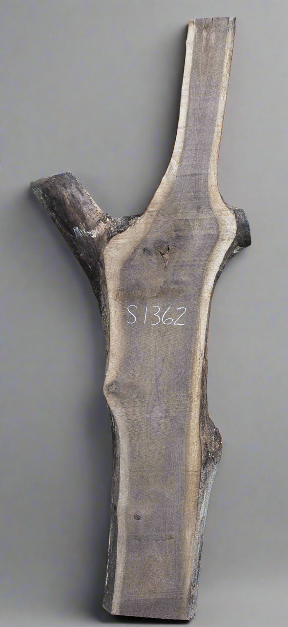Black Walnut - S1359, Black Walnut - S1360, Black Walnut - S1361 & Black Walnut - S1362 Quad