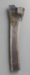 Black Walnut - S1461