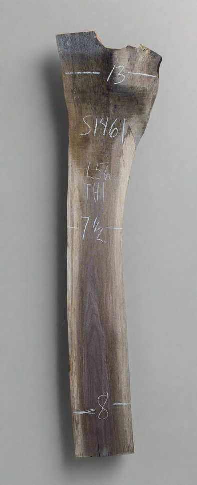 Black Walnut - S1461
