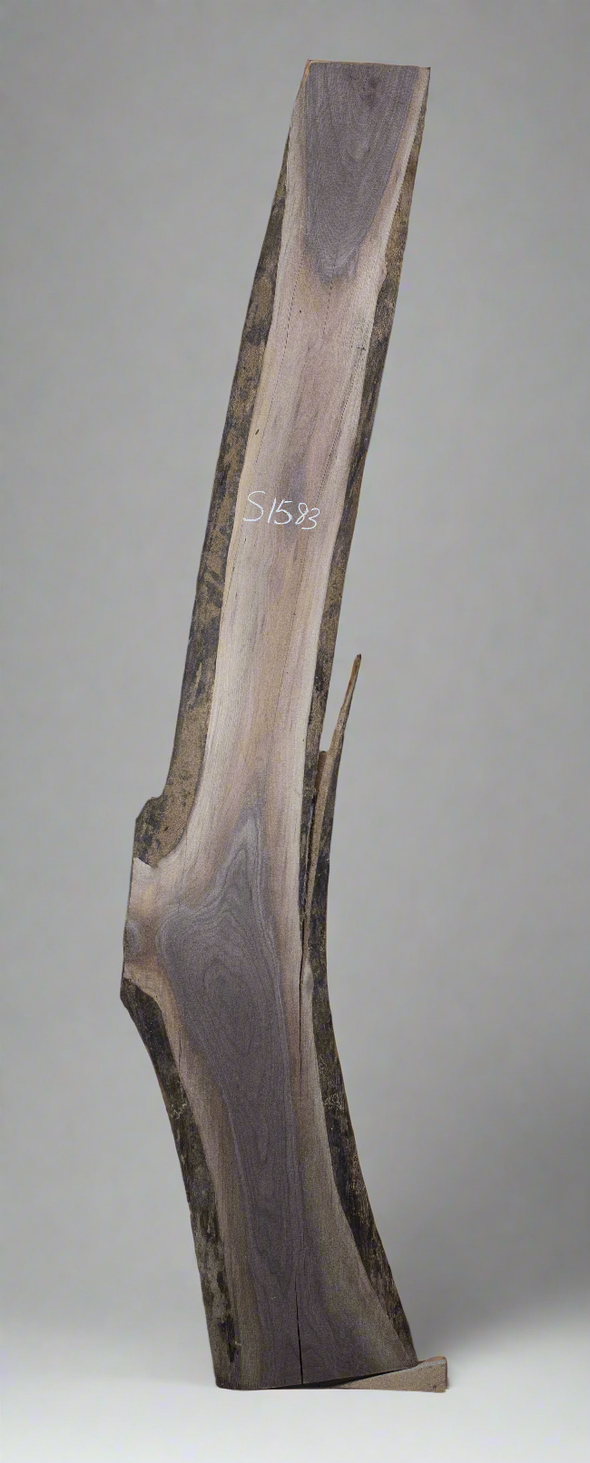 Black Walnut - S1583
