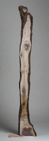 Black Walnut - S1558