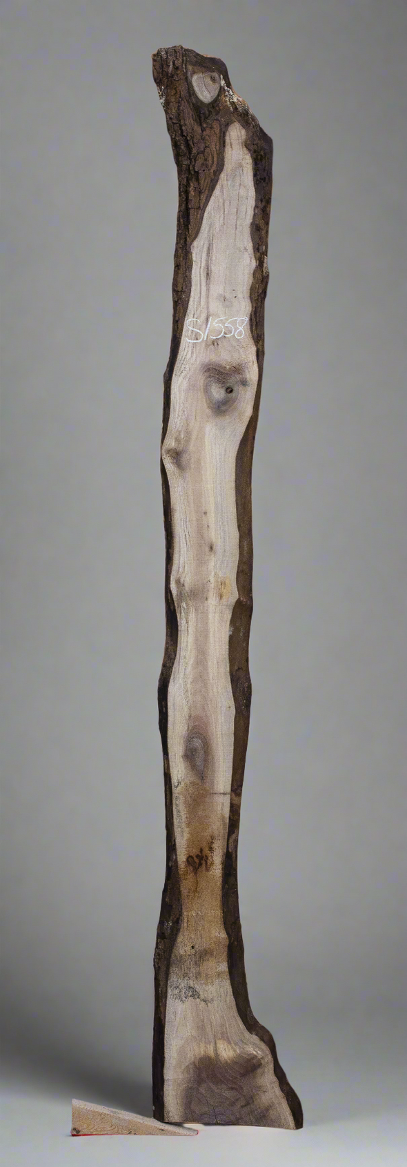 Black Walnut - S1558