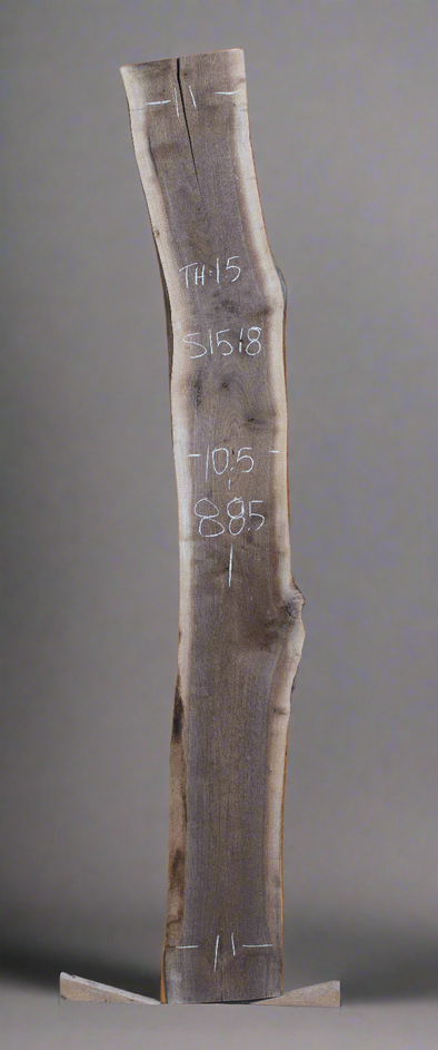 Black Walnut - S1518