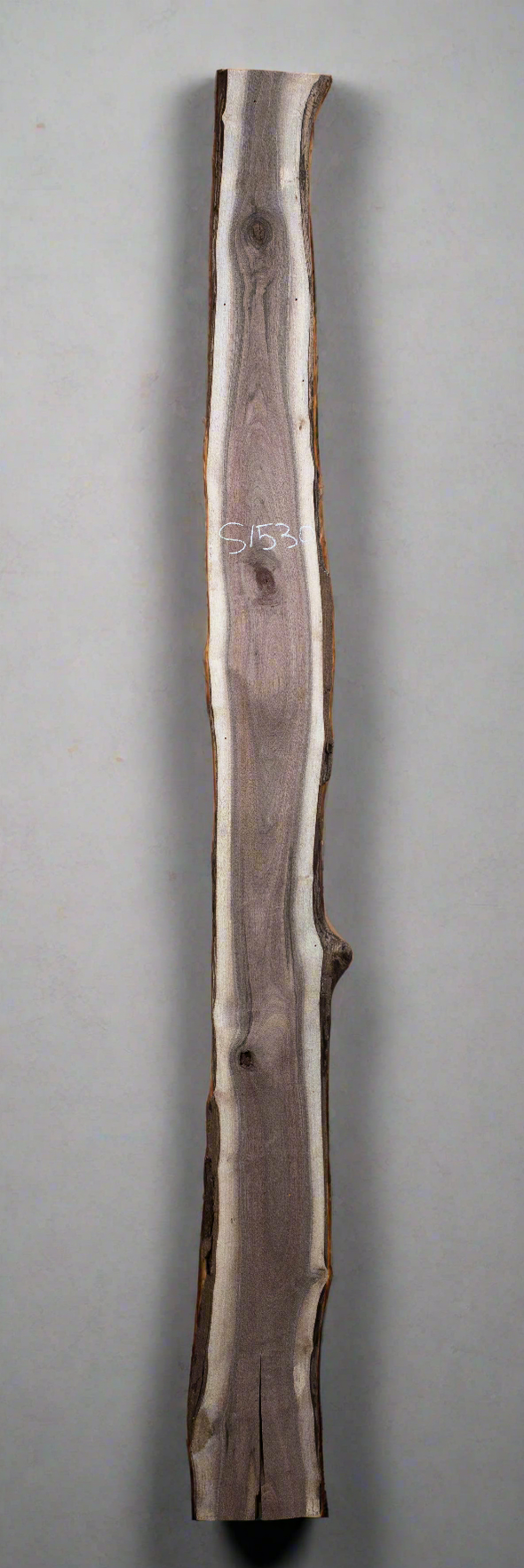 Black Walnut - S1530