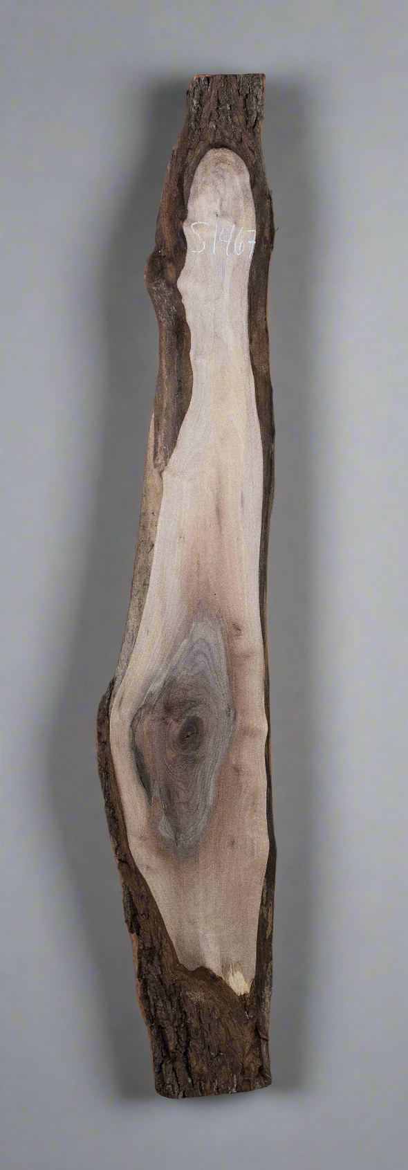 Black Walnut - S1467