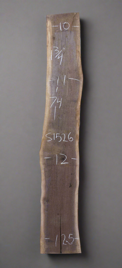 Black Walnut - S1526