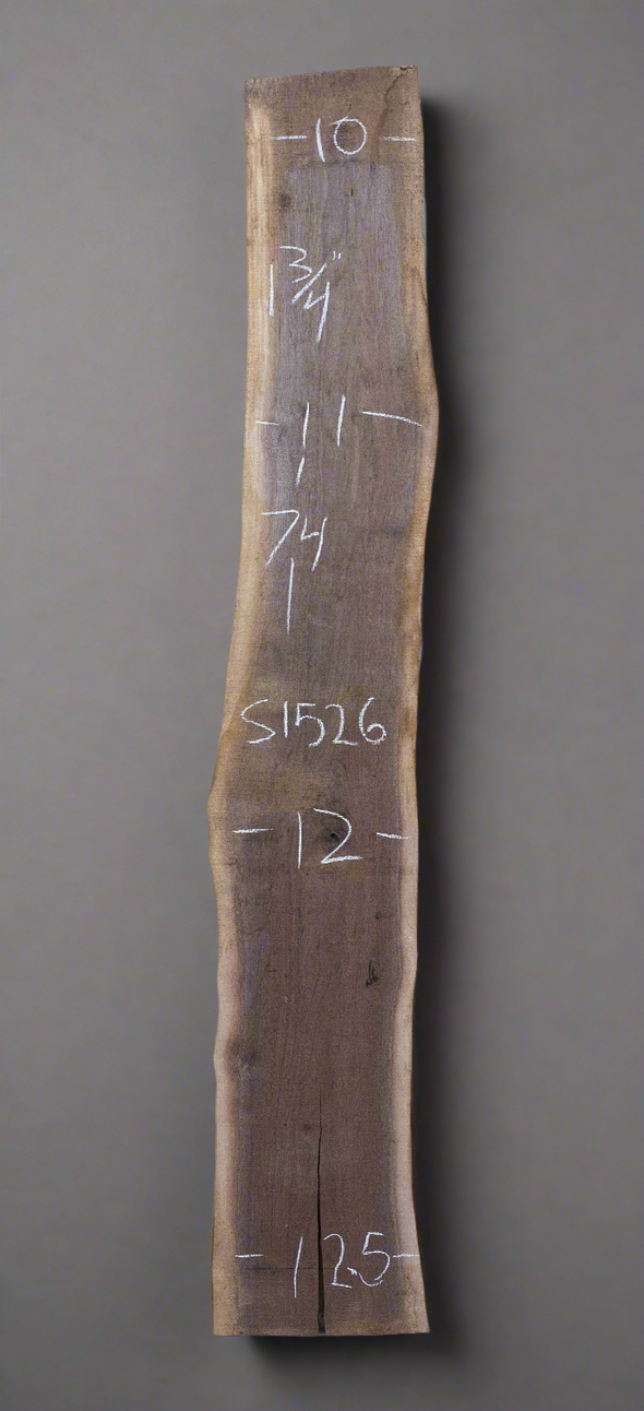 Black Walnut - S1526