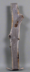 Black Walnut - S1522