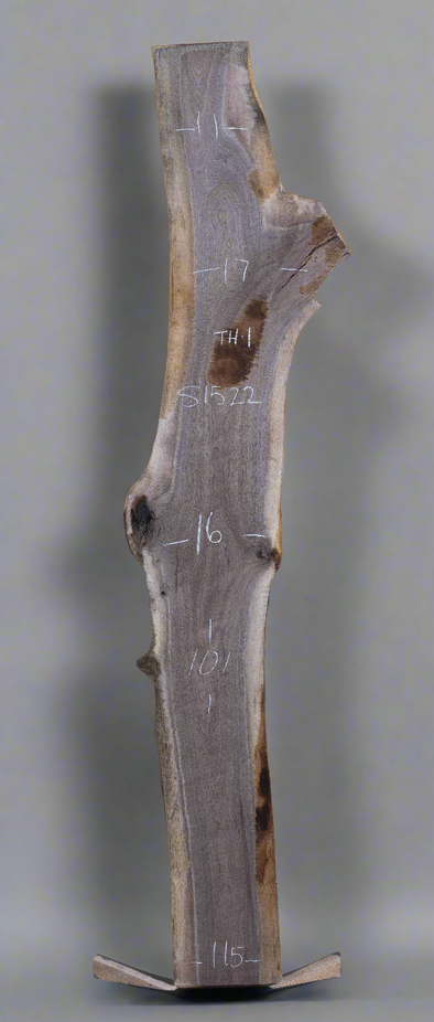 Black Walnut - S1522