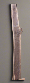 Black Walnut - S1538