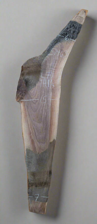 Black Walnut - S1463