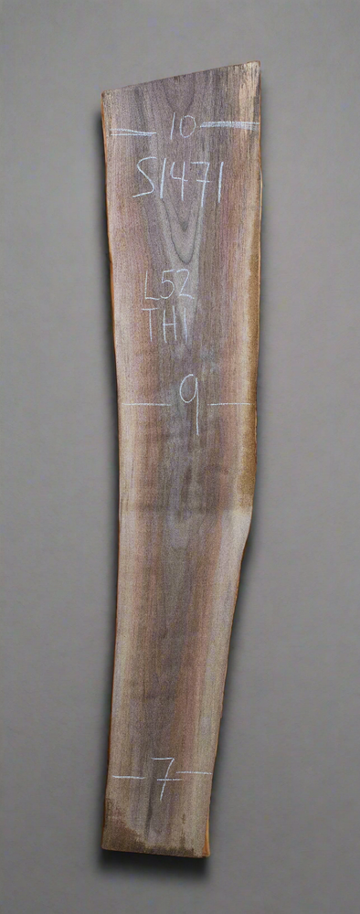 Black Walnut - S1471
