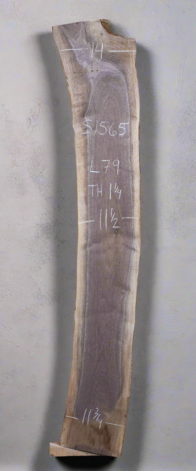 Black Walnut - S1565