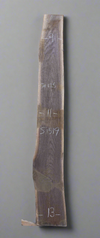 Black Walnut - S1519