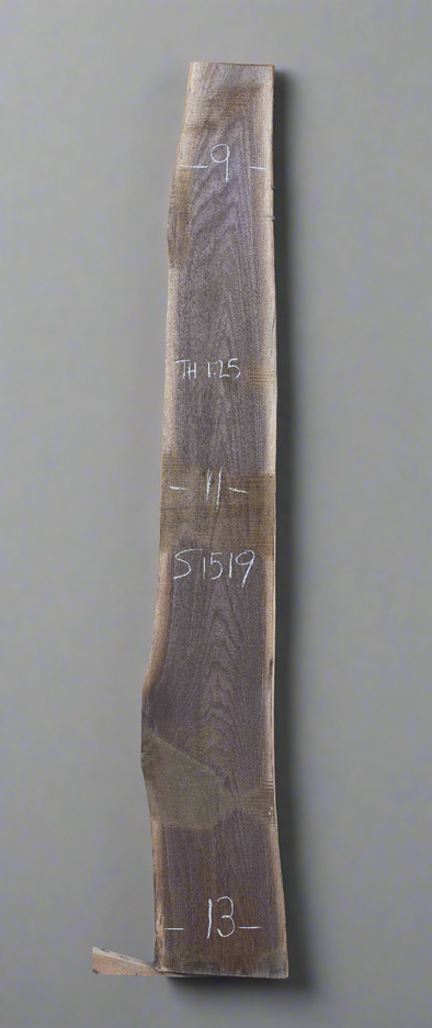 Black Walnut - S1519