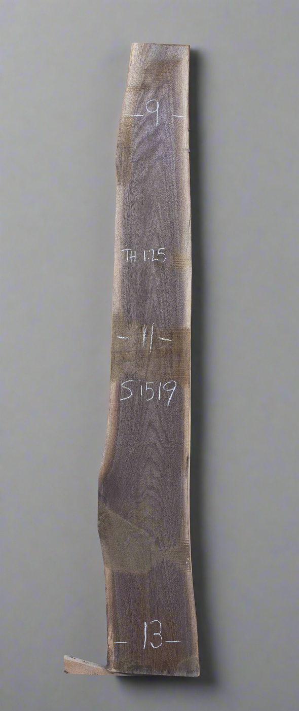 Black Walnut - S1519