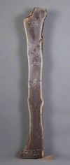 Black Walnut - S1531