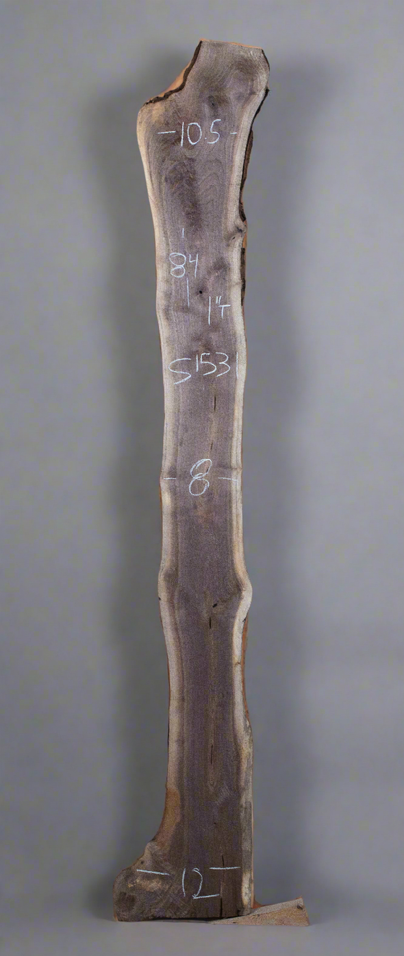 Black Walnut - S1531
