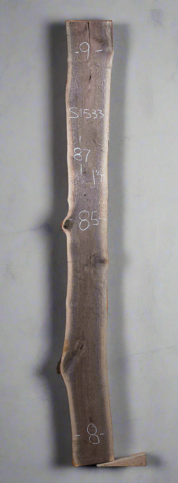 Black Walnut - S1533