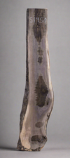 Black Walnut - S1450
