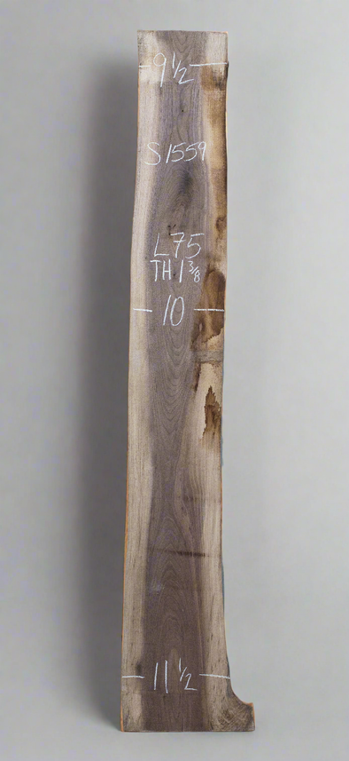 Black Walnut - S1559