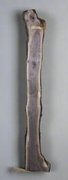 Black Walnut - S1531