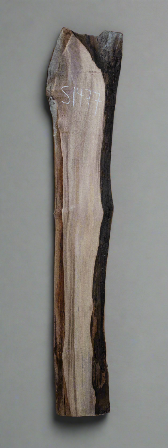 Black Walnut Live Edge Slab - S1477