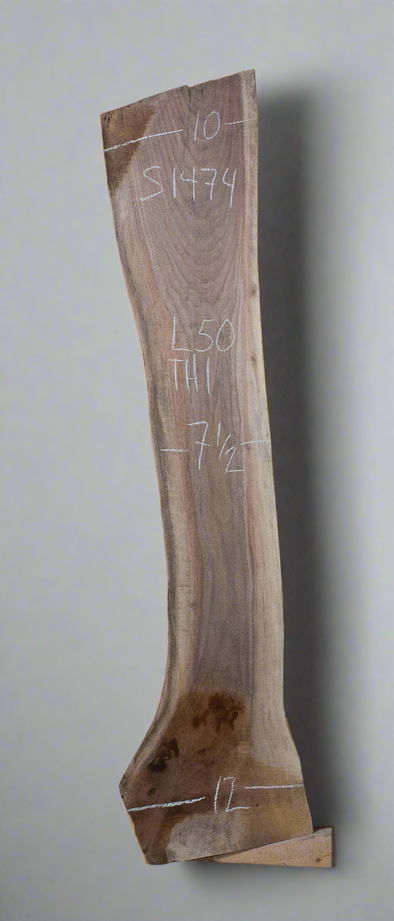 Black Walnut - S1474