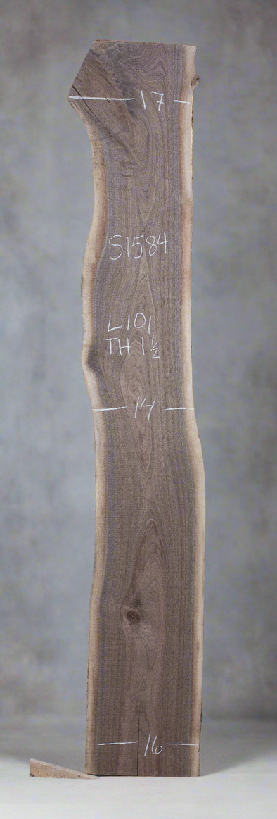 Black Walnut - S1584