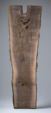 Black Walnut Live Edge Slab - S1817