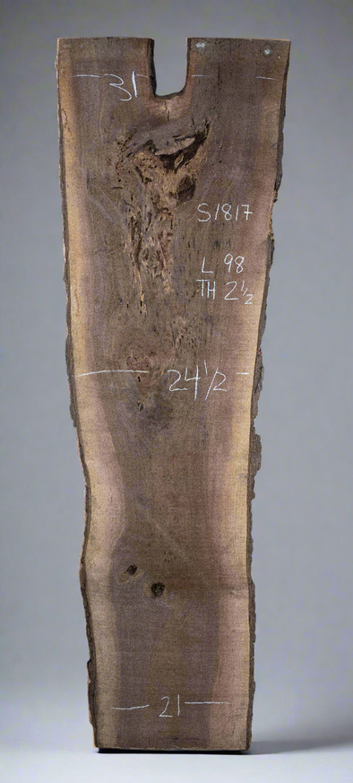Black Walnut - S1817