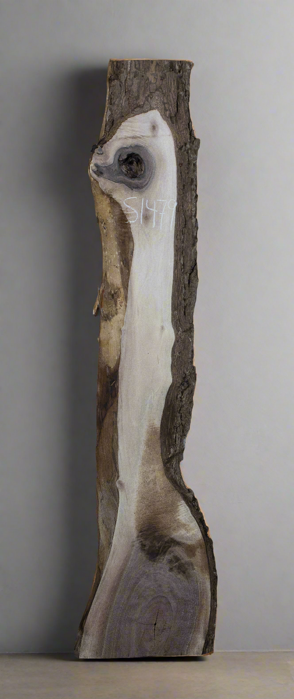 Black Walnut - S1479
