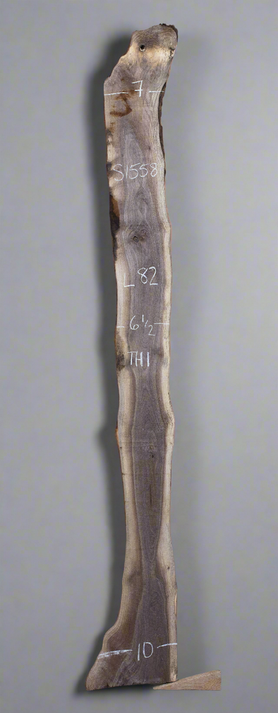 Black Walnut - S1558