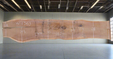 Black Walnut - W1363