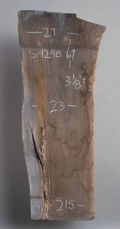 Black Walnut - S1248