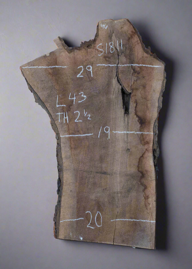 Black Walnut - S1811