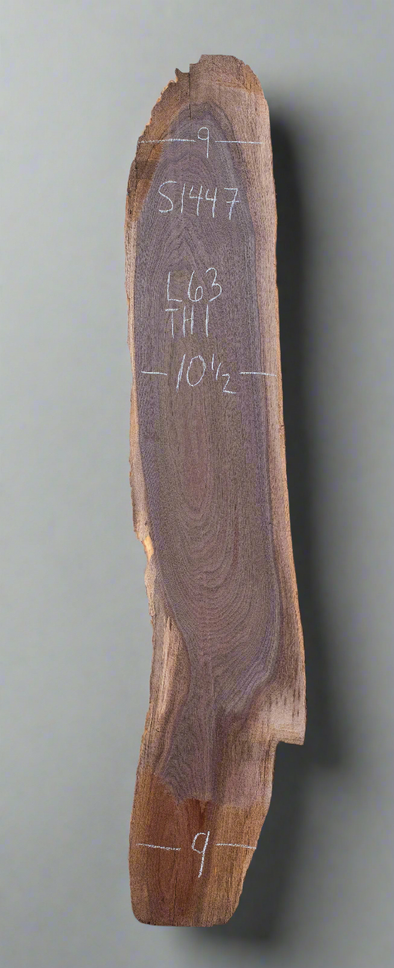 Black Walnut - S1447