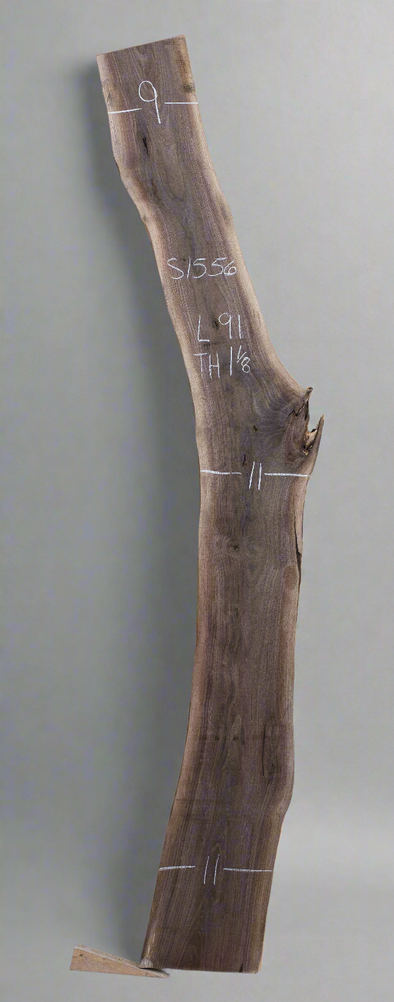 Black Walnut - S1556