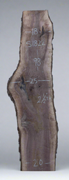 Black Walnut - S1822 & Black Walnut - S1823 Book-matched Live Edge Slab Pair