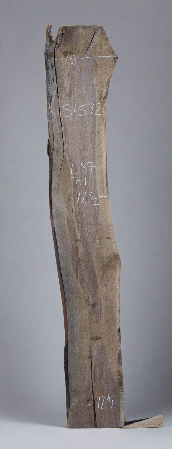 Black Walnut - S1592