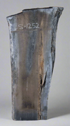 Black Walnut - S1252