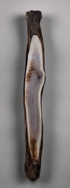 Black Walnut - S1458