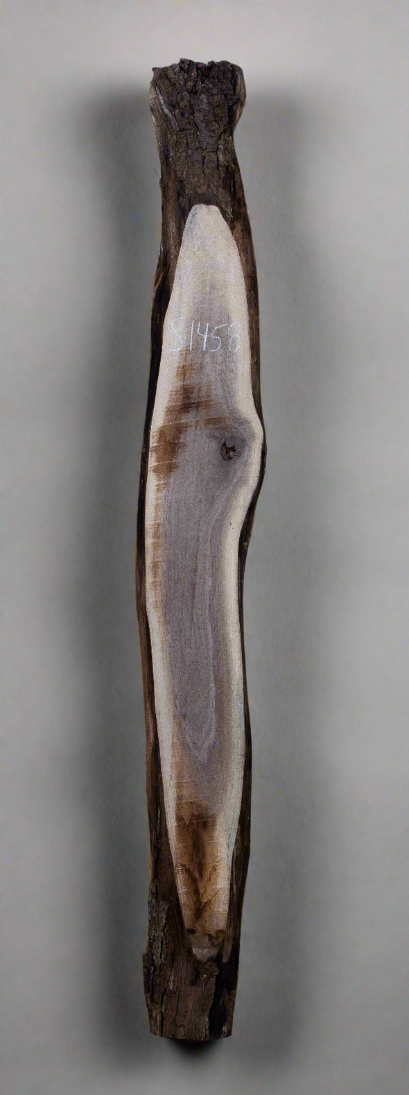 Black Walnut - S1458